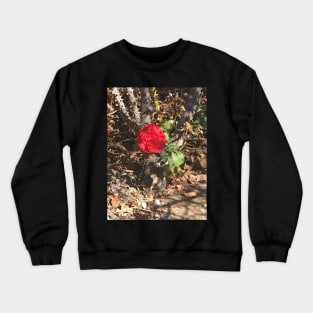 Spiky Rose Crewneck Sweatshirt